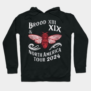 Cicada 2024 broods Hoodie